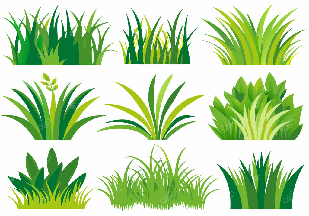 مجموعه چمن با سایه