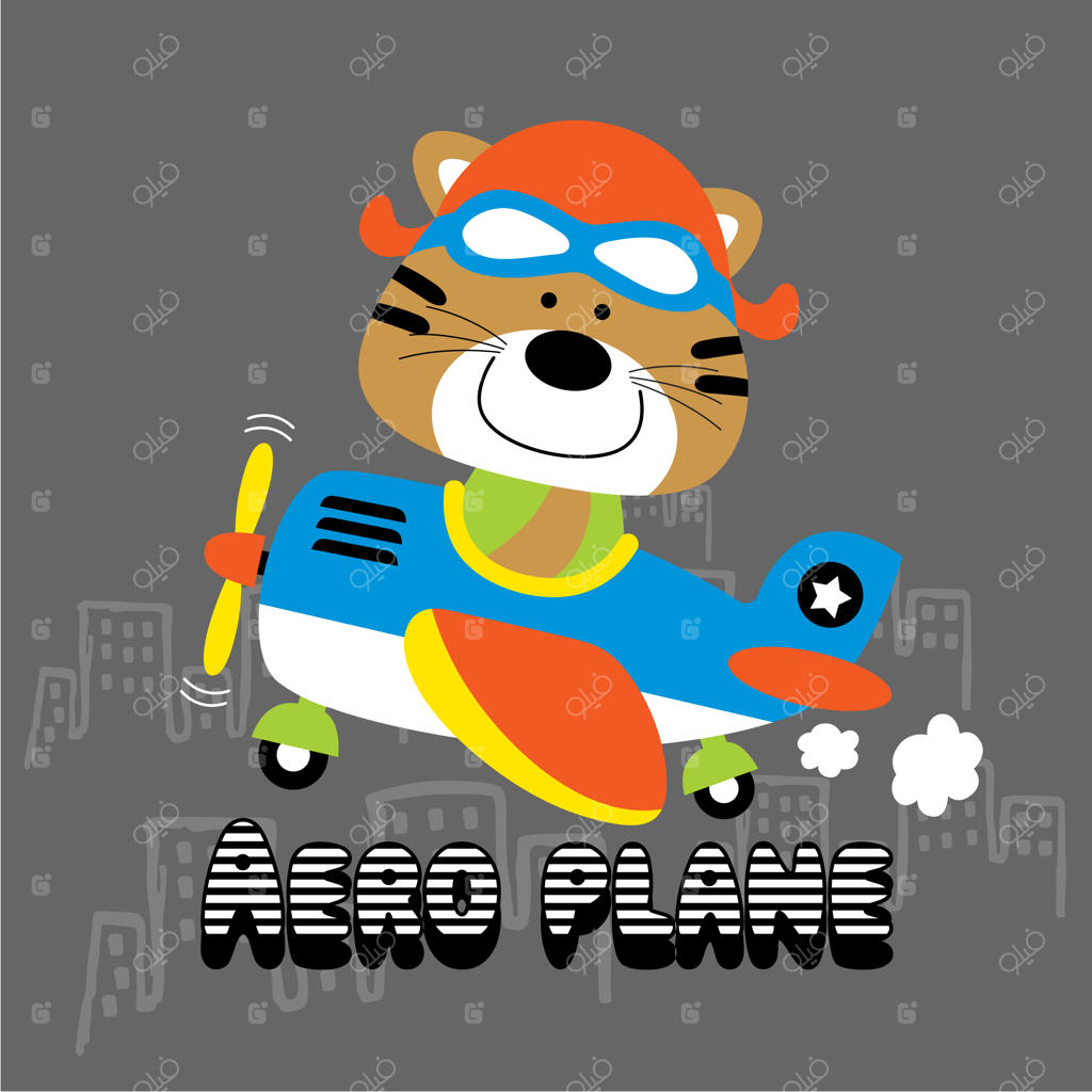 هواپیما و خلبان