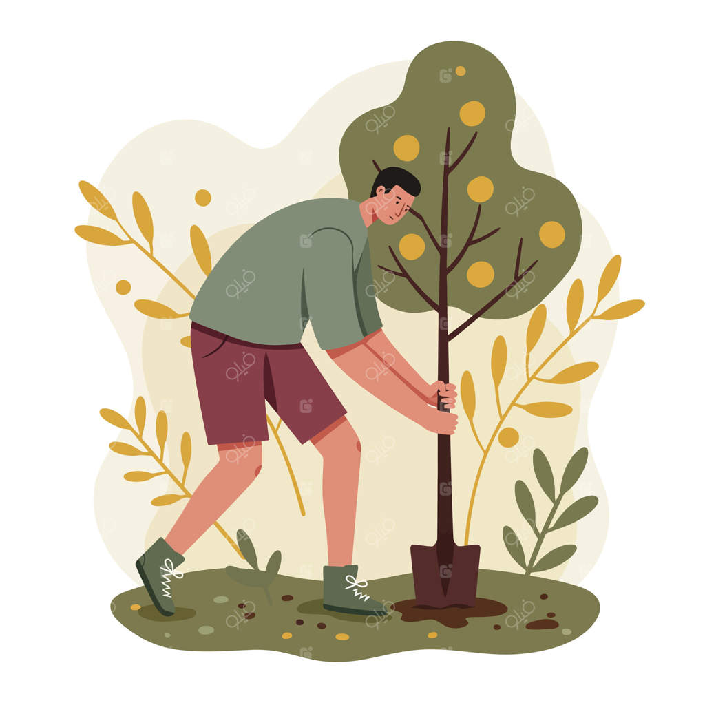 مردی در حال کاشتن نهال میوه در باغ در میان گیاهان و برگ‌های پاییزی