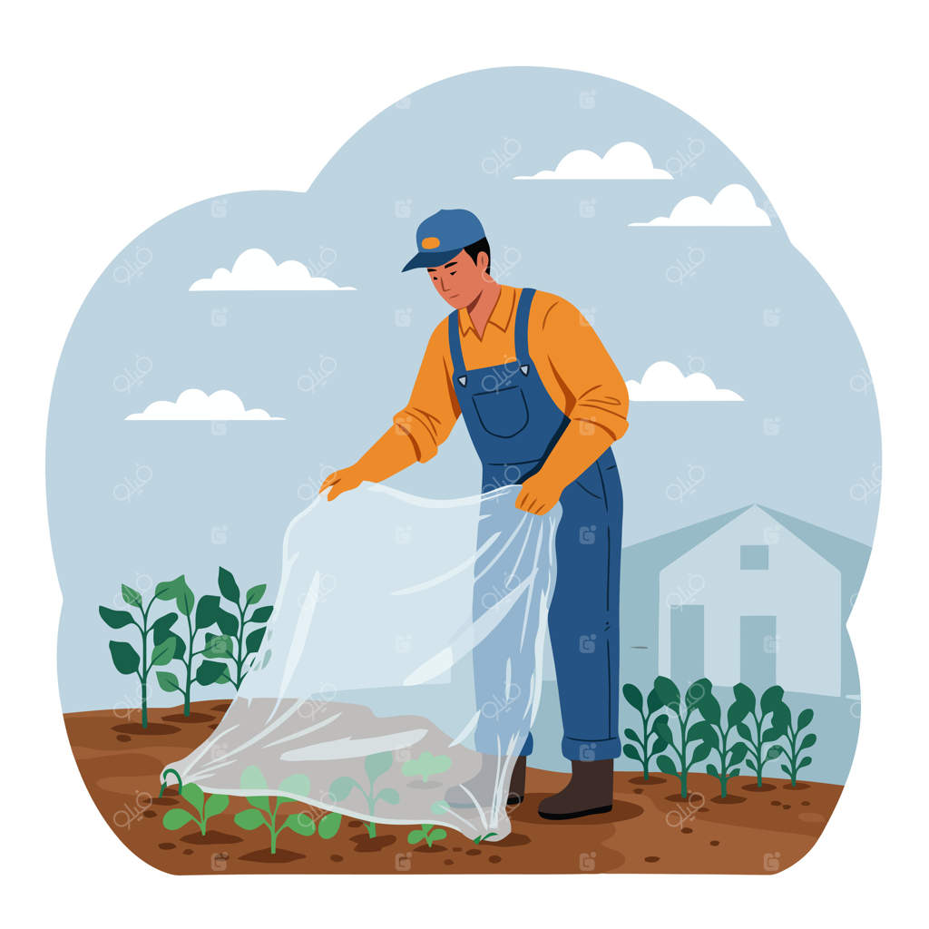 باغبان گیاهان را با پلاستیک برای حفاظت و رشد می‌پوشاند