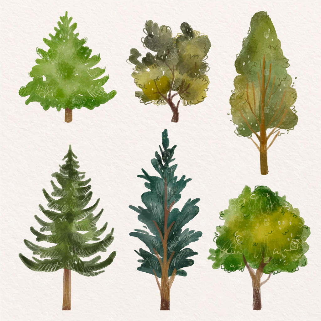 مجموعه‌ای از نقاشی درخت با آبرنگ