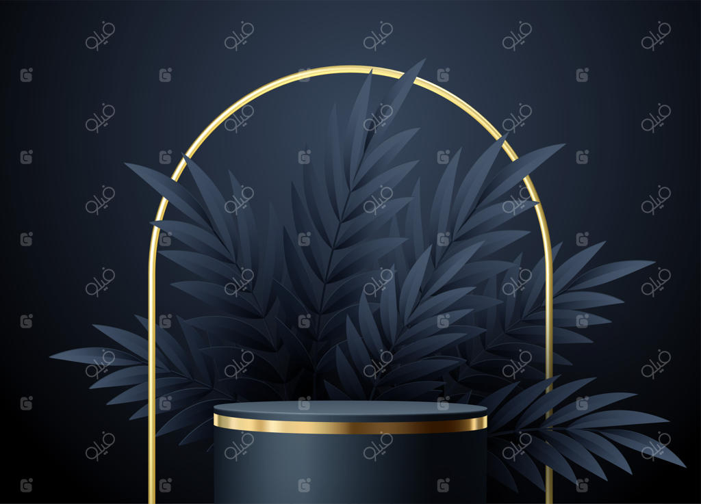 صحنه مینیمال مشکی با اشکال هندسی و برگ‌های نخل - نمایش شیک محصولات