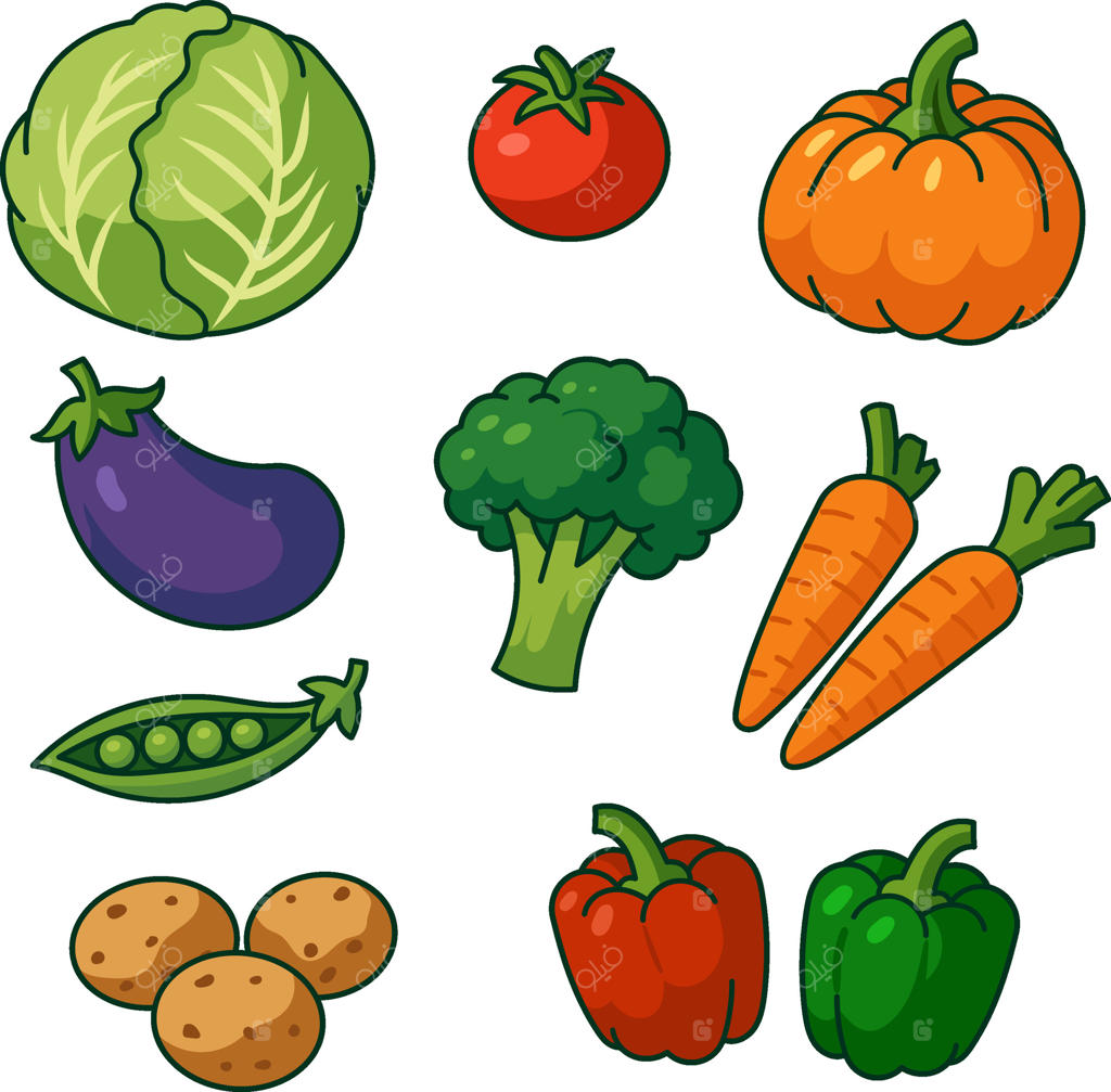 وکتور حرفه‌ای مجموعه‌ای رنگارنگ از سبزیجات تازه
