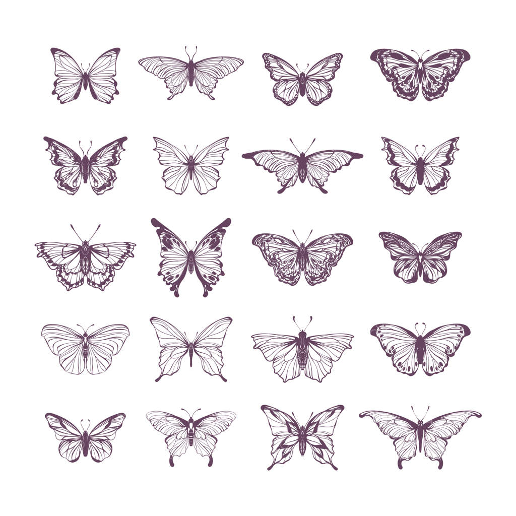 مجموعه‌ای از نقاشی‌های پروانه