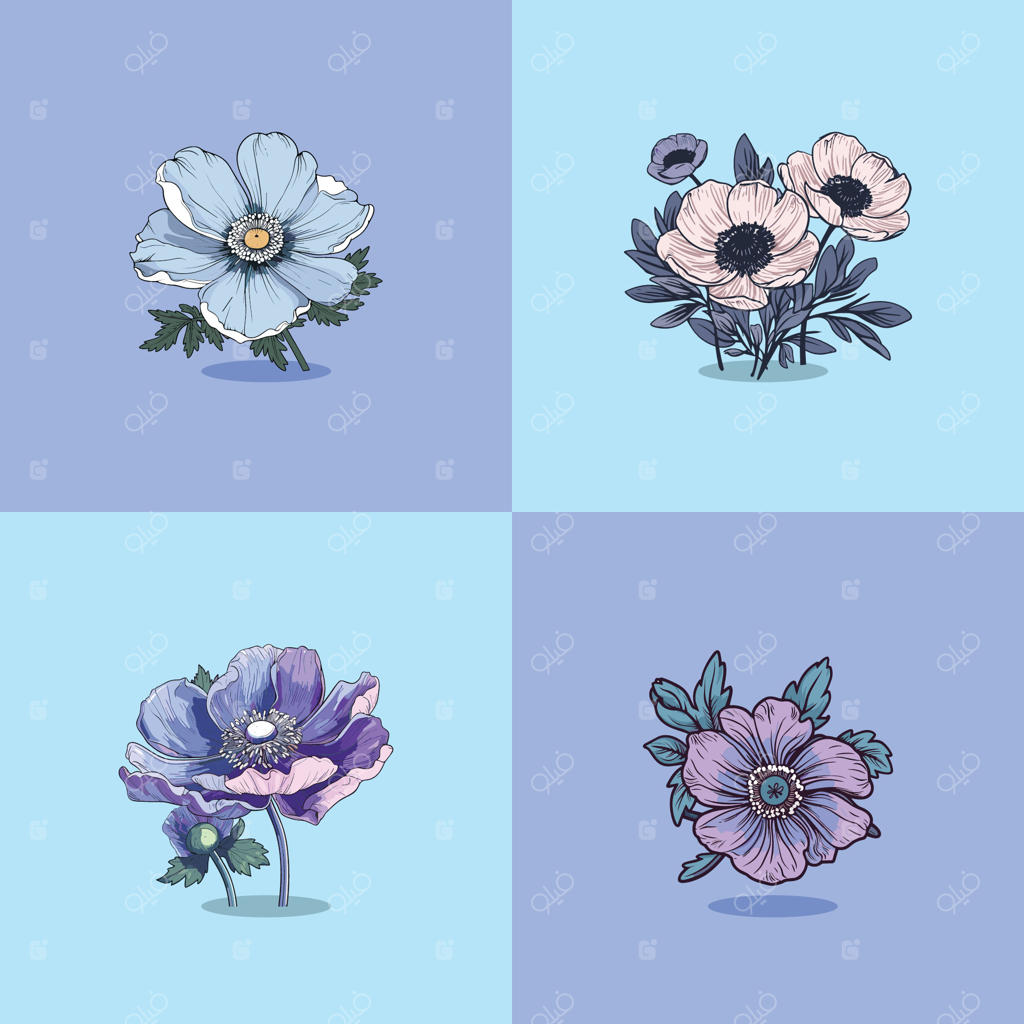 تصویر وکتور گل شقایق