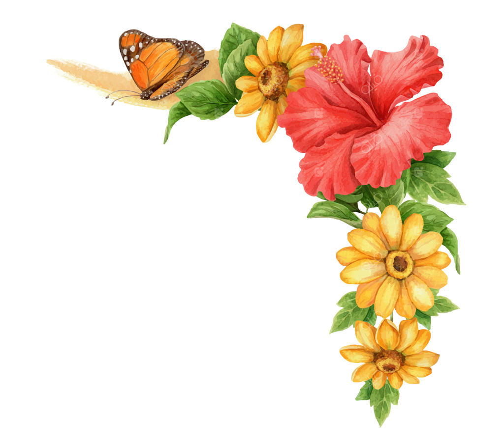 چیدمان گوشه‌ای تابستانی گل ختمی قرمز با شکوفه زرد و پروانه. هنر گیاه‌شناسی نقاشی آبرنگ دستی. عنصر گرافیکی گل مناسب برای قالب کارت گیاهی و طراحی فصل تعطیلات.