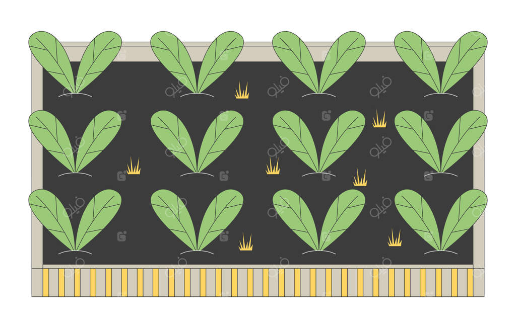 باغچه سبزیجات برگ‌دار به سبک کارتونی دوبعدی: کشاورزی ارگانیک و تولید غذای پایدار. عناصر ایزوله سبزیجات برگی برای تصویرسازی در باغچه حیاط پشتی