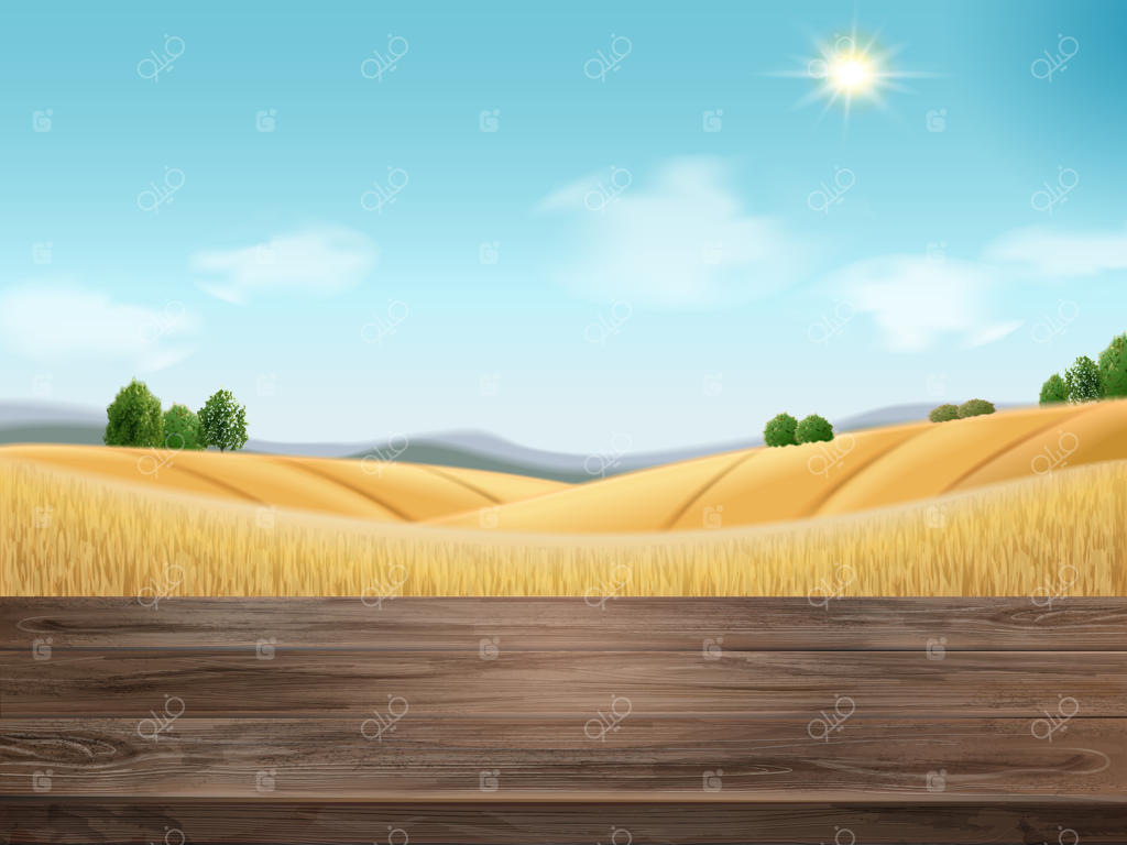 تصویر زمینه طبیعی از مزرعه گندم