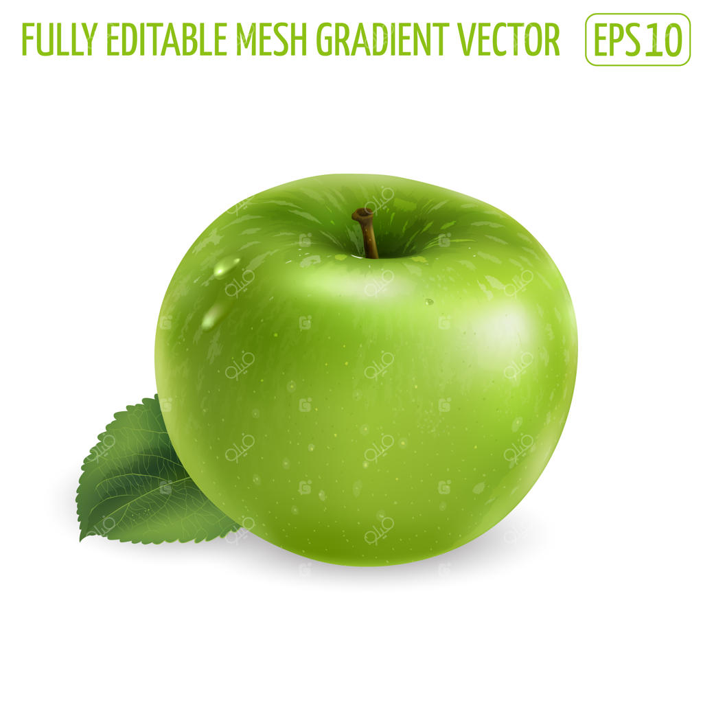 طراحی غذای سالم با سیب سبز تازه - تصویرسازی واقع‌گرایانه.