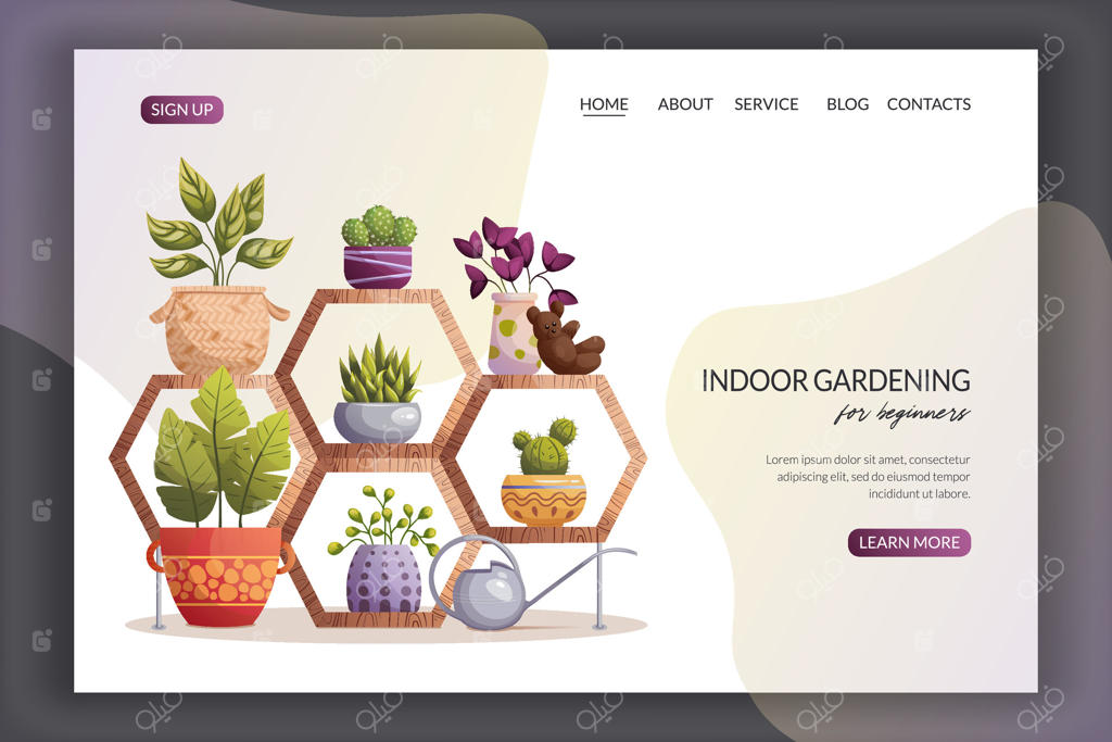 قالب مدرن وب‌سایت برای باغبانی داخلی. قفسه‌های شش‌ضلعی با گیاهان گلدانی، کتاب‌ها، خرس عروسکی و آب‌پاش. ایده‌ی باغچه خانگی و گیاهان در گلدان. ایده‌آل برای وب‌سایت. طراحی گرافیکی.