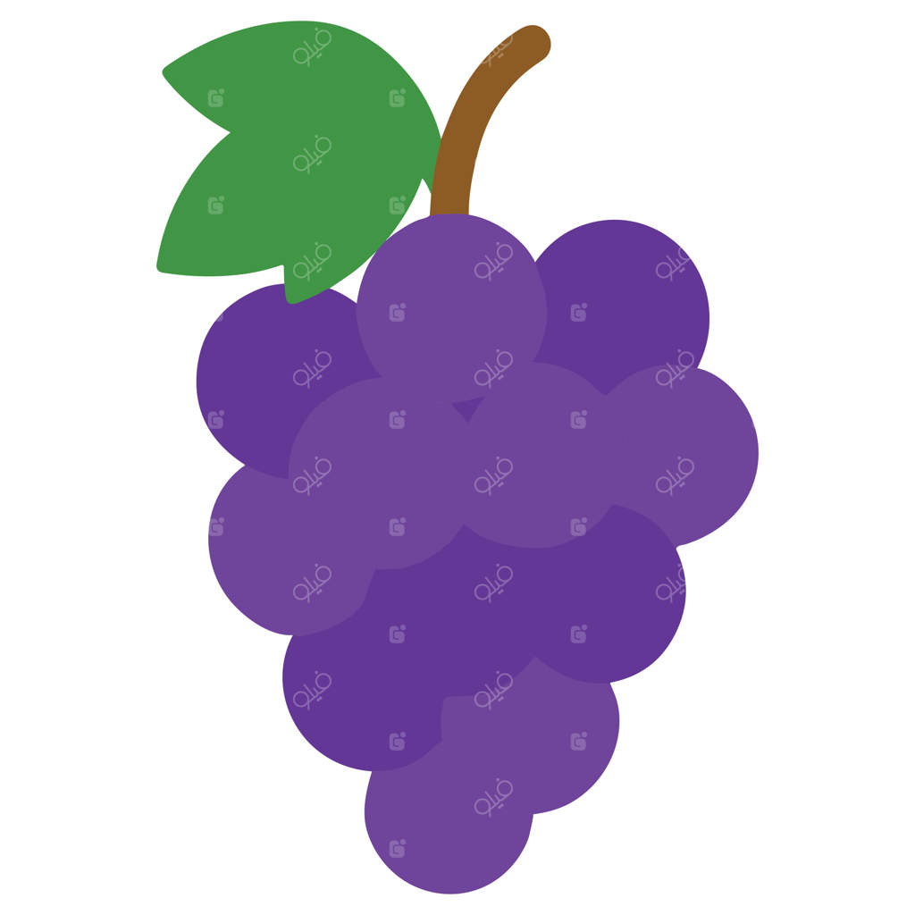 تصویر انگورها: طرح های رنگارنگ انگور در باغ، کلیپ آرت رنگارنگ باغبانی، طراحی سابلومیشن برای باغبان