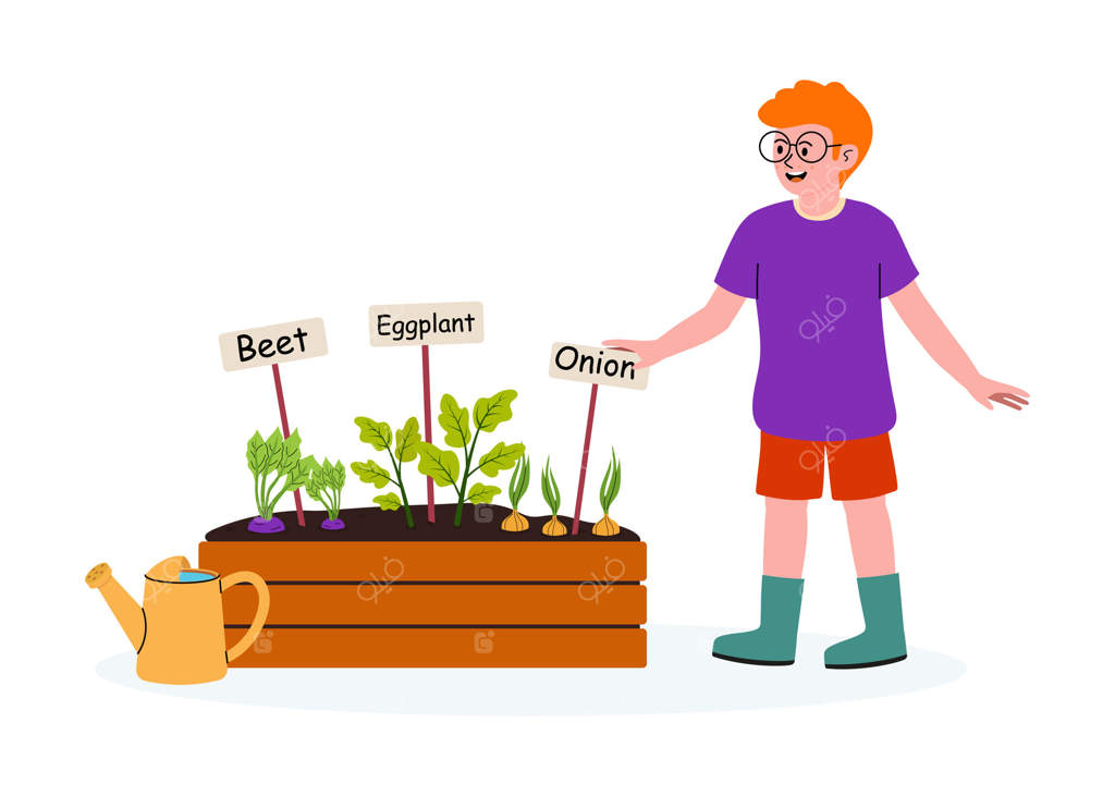 عاشق باغبانی به باغ سبزیجات شامل برچسب‌های چغندر، بادمجان و پیاز نظاره می‌کند