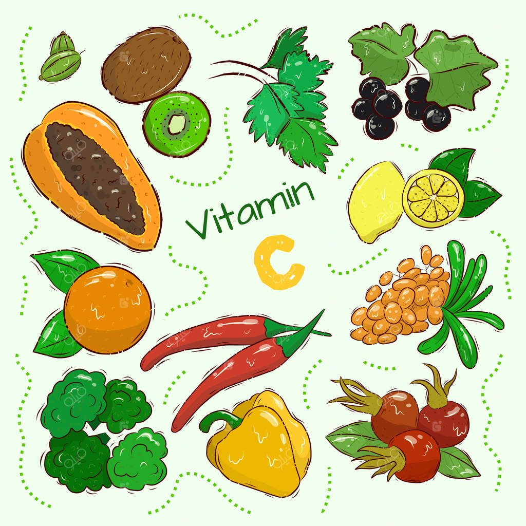 مجموعه‌ای از منابع ویتامین C. میوه‌ها و سبزیجات سرشار از اسید آسکوربیک. تغذیه‌ی رژیمی، ترکیب غذای ارگانیک. تصویرسازی کارتونی وکتور در پس‌زمینه‌ای سفید.