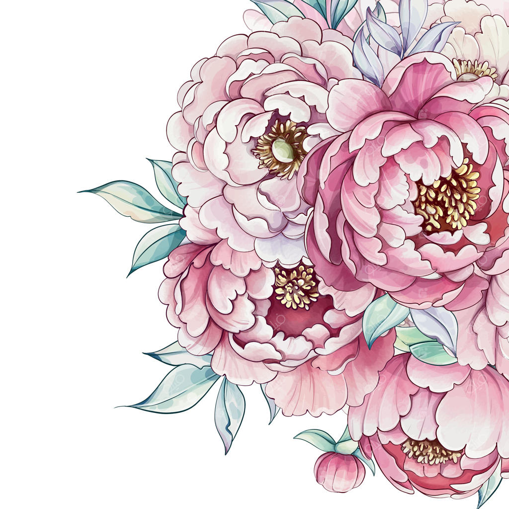 شکوفه‌های پر زرق و برق پائونیا به رنگ صورتی، با برگ‌های سبز زنده در هم تنیده‌اند و زیبایی طبیعت را در آبرنگ‌های چشم‌نواز به تصویر می‌کشند.