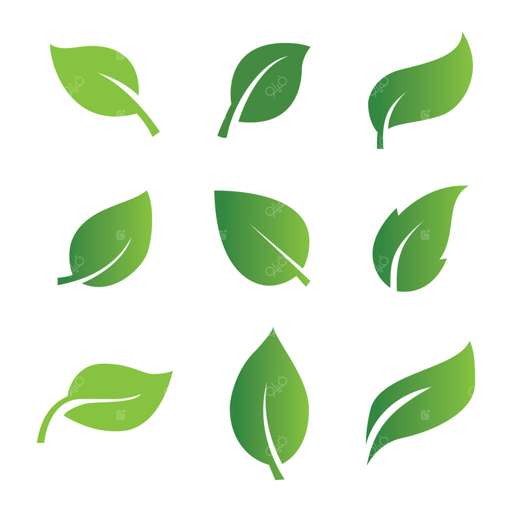 مجموعه آیکون‌های انتزاعی برگ سبز، جدا شده در پس‌زمینه سفید