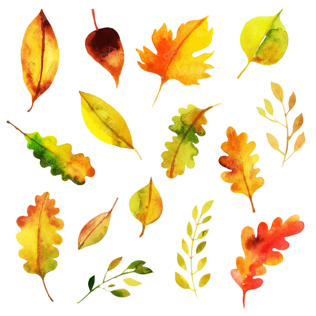 مجموعه زیبای برگ‌های پاییزی آبرنگی