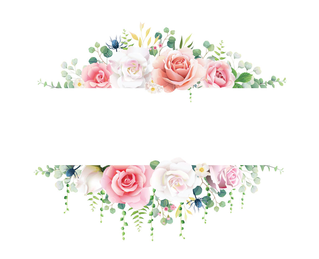 بنر گل رز صورتی و سفید با پس‌زمینه‌ای از سبزه‌ها