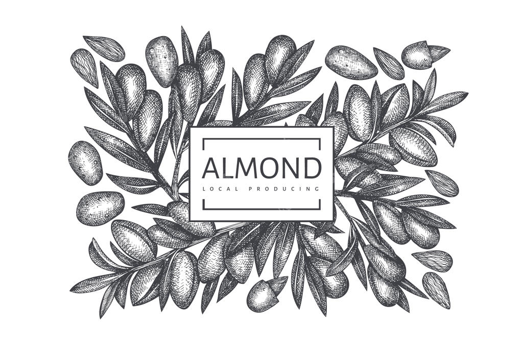 طرح طراحی دستی بادام.