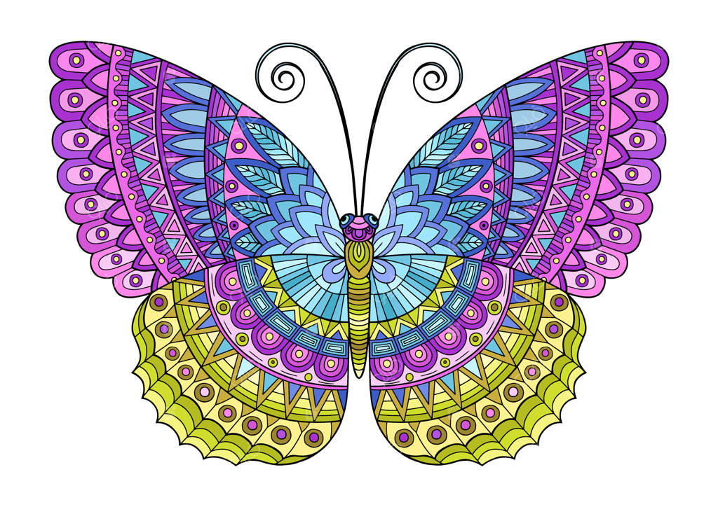 پروانه‌ای با رنگ‌های زنده. تصویر مناسب چاپ روی لباس، رنگ‌آمیزی و پس‌زمینه‌ها.