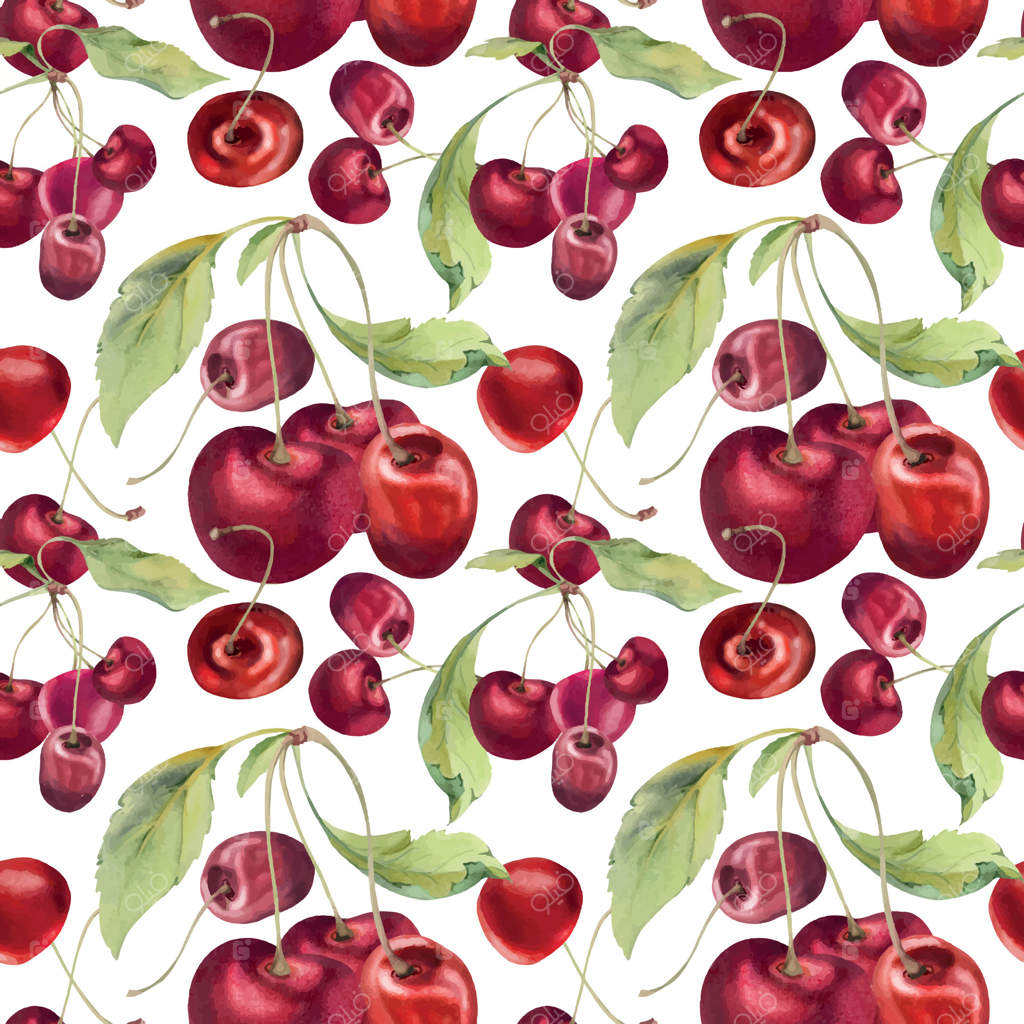 طرح یکپارچه آلبالوی شیرین و ترش با برگ‌های سبز، نقاشی شده با آبرنگ، دانه‌های باغی بر روی شاخه‌ها به صورت خوشه‌ای. ایده‌آل برای کاغذ دیواری، منوی رستوران و کافه، عروسی و بازار کشاورزان.