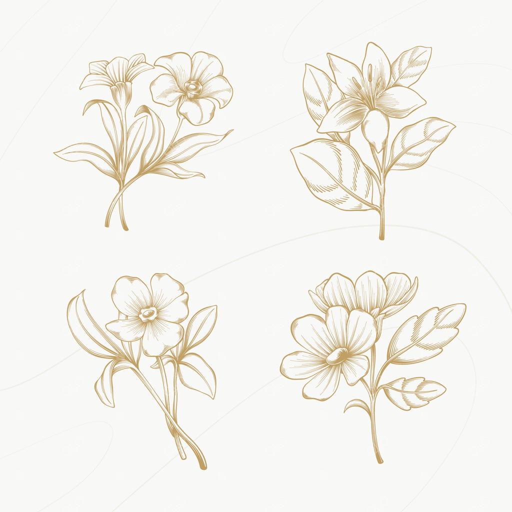 تصویرسازی گل‌های قدیمی به صورت دستی