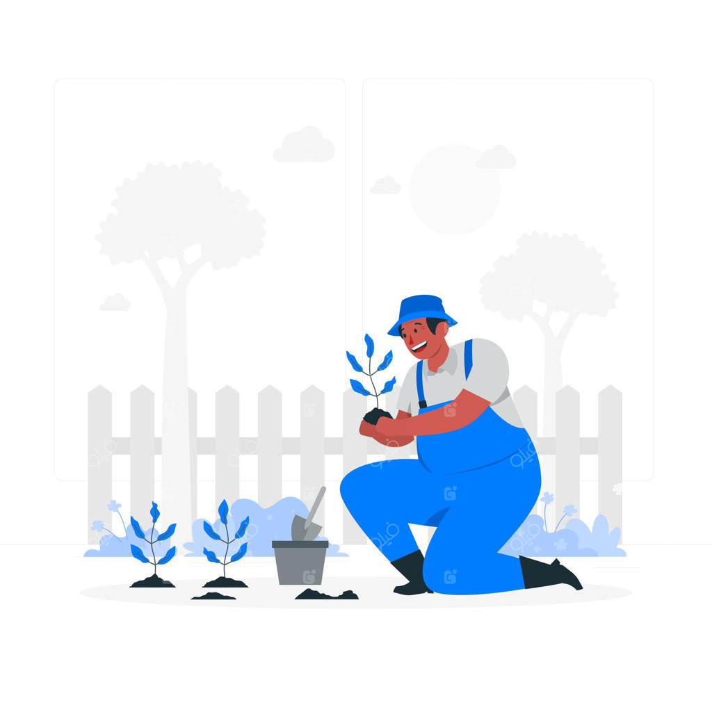 تصویرسازی مفهوم کاشت بذر