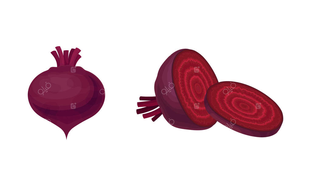 چغندر کامل و خرد شده با مجموعه برش عرضی