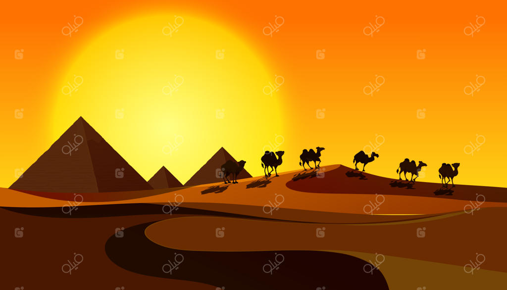 ضد نور شترها در منظره کویری