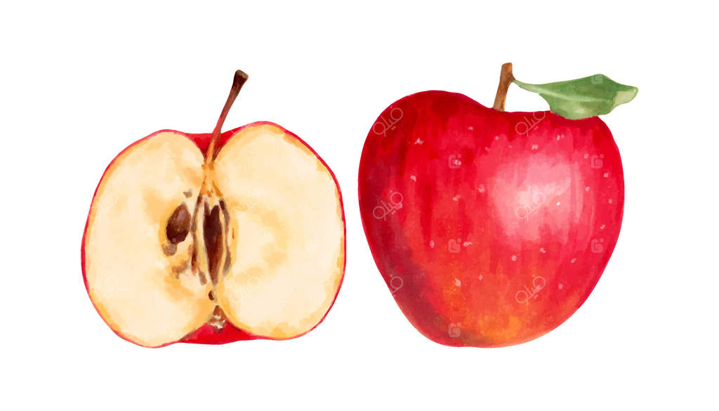 سیب قرمز کامل با نصفه و برگ. تصویرسازی با آبرنگ و ماژیک. هنر دست‌کشیده و مجزا. میوه‌های طبیعی برای بسته‌بندی خوراکی، آبمیوه‌ها، باغ تابستانی. برداشت محصول.