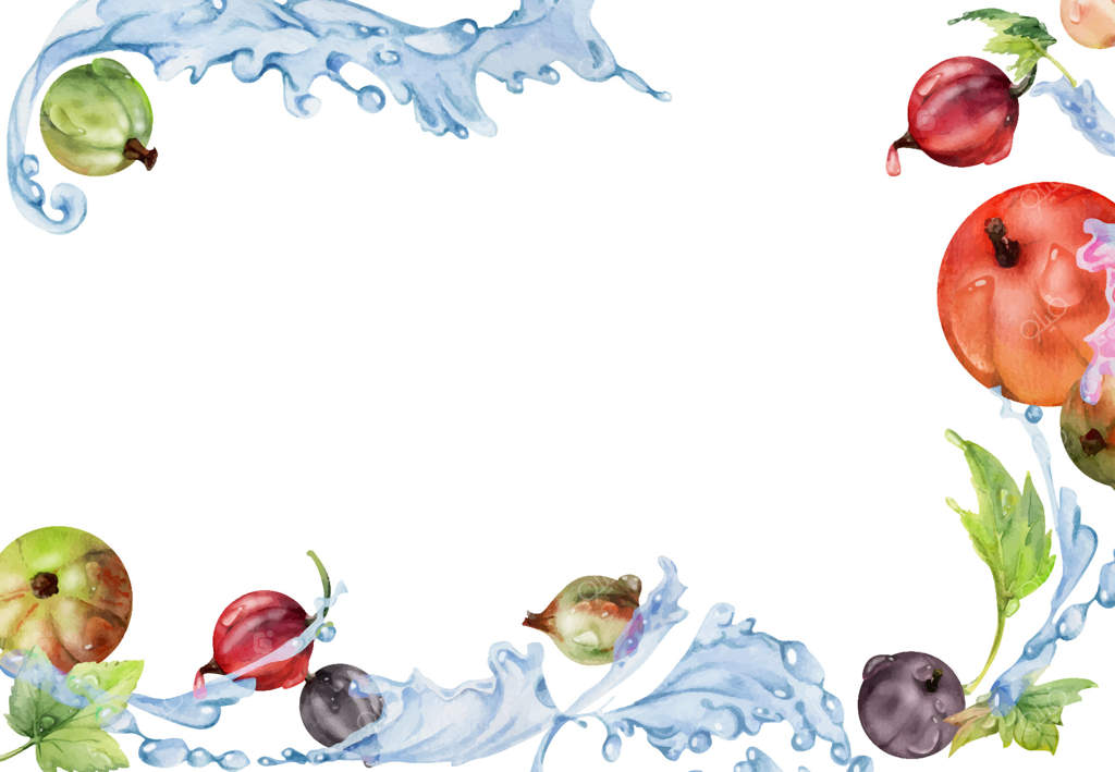 انگور فرنگی و گوسف فرنگی معلق در پاشش آب با برگ‌های سبز، قطرات شبنم، توت‌های درختی رسیده، نقاشی آبرنگی دستی. قاب گوشه‌ای برای منو و بازار کشاورزان.