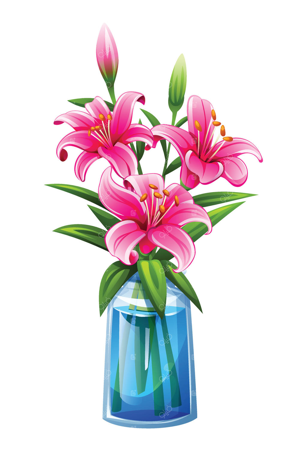 تصویر کارتونی از گل‌های سوسن صورتی زیبا در گلدان شیشه‌ای پر از آب