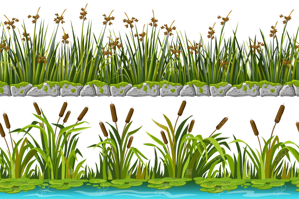 مرزها: سنگ خاکستری قدیمی، نی، علف، نیلوفر آبی. مجموعه‌ای از حاشیه‌های یکپارچه نی مرداب.