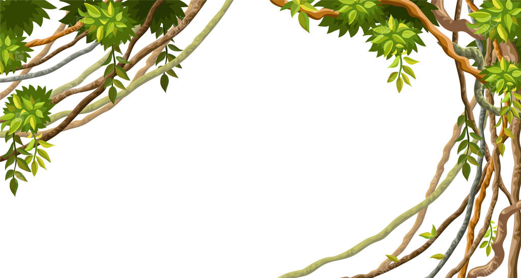 شاخه‌ها و برگ‌های لیانا.