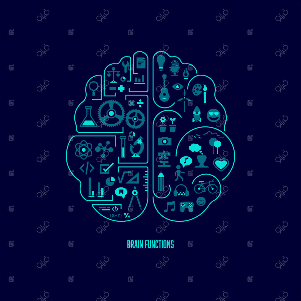 عملکردهای مغز
