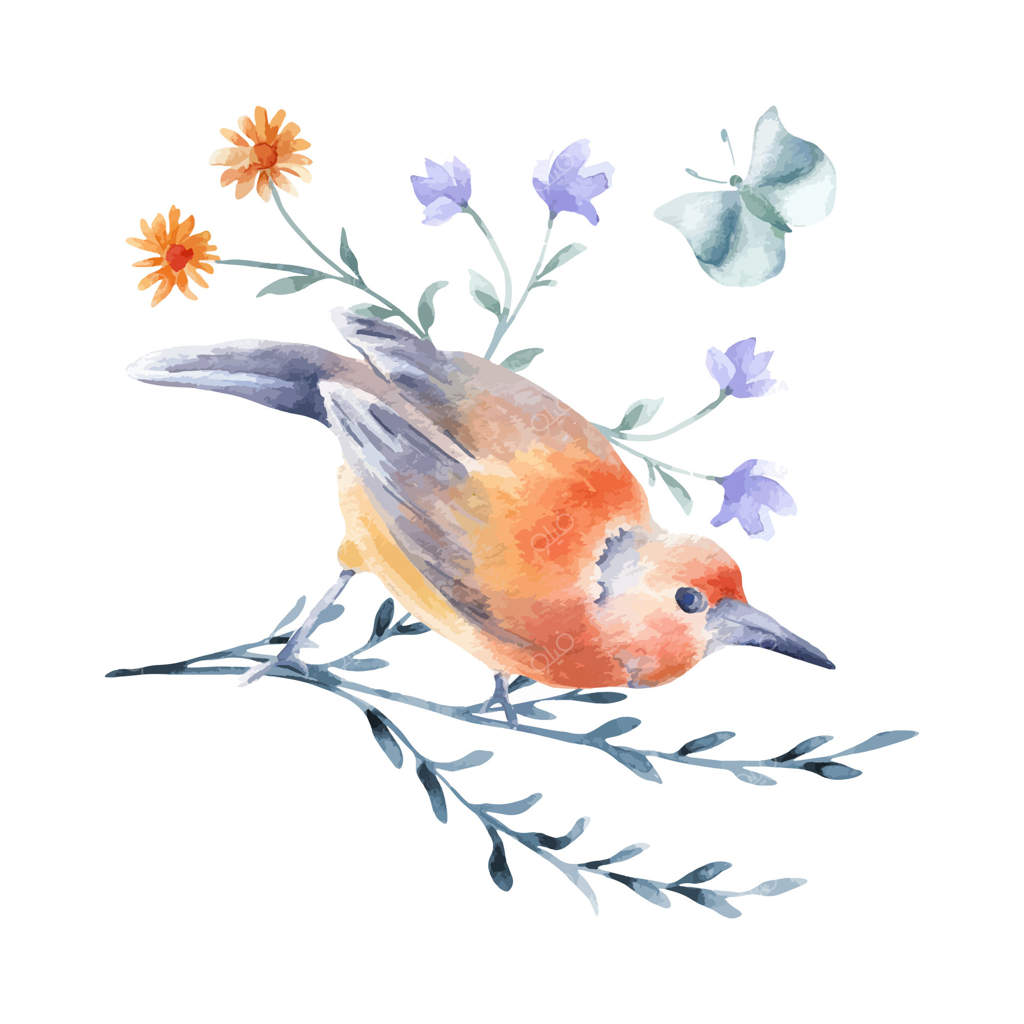 تصویر پرنده‌ای با پرهای نارنجی و خاکستری-آبی روی شاخه در نقاشی آبرنگ. طراحی گیاه‌شناسی از پرنده، پروانه و گل‌ها. نقاشی تابستانی از پرنده نارنجی و گل‌های باغچه.