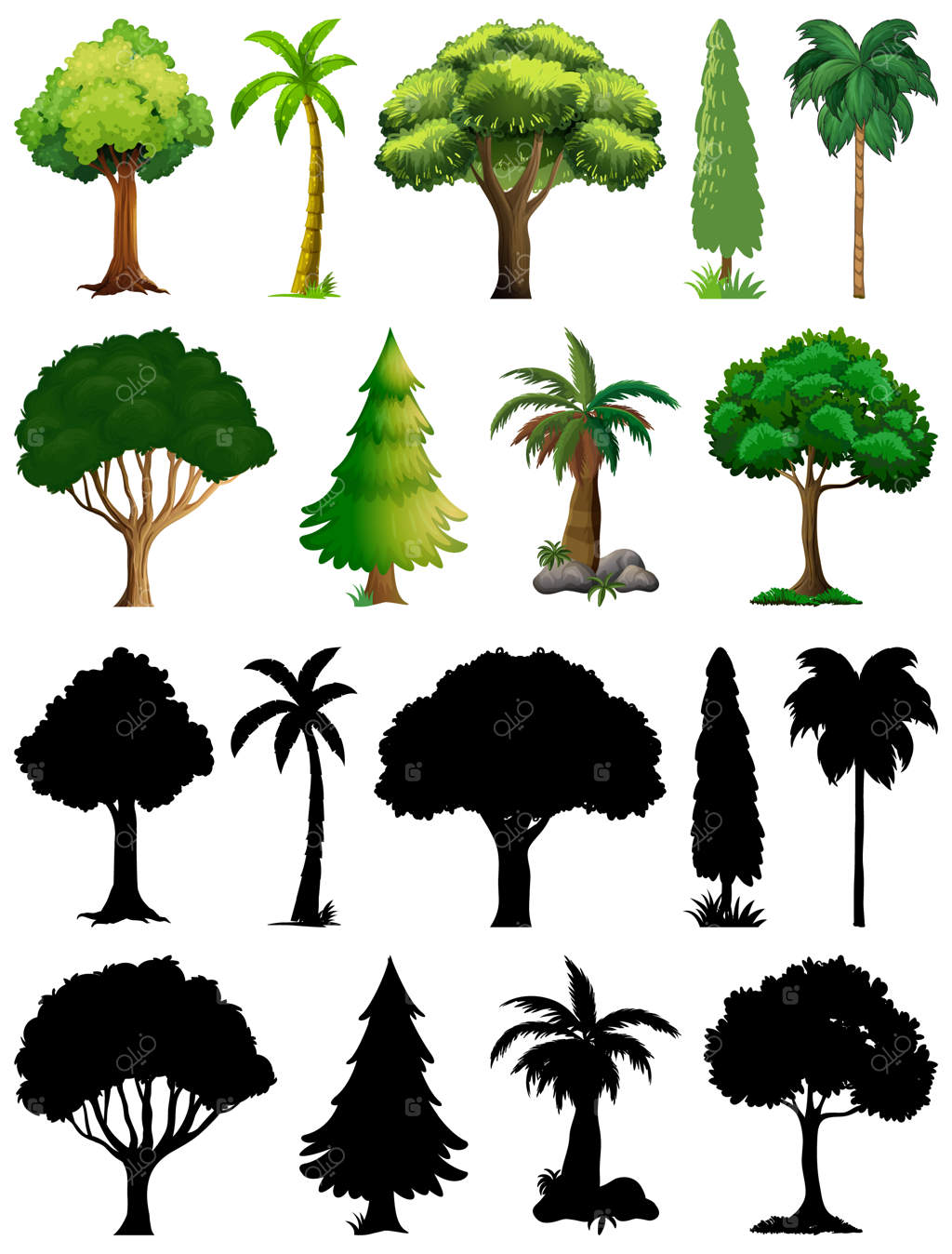 مجموعه‌ای از گیاهان و درختان به همراه سایه آن‌ها