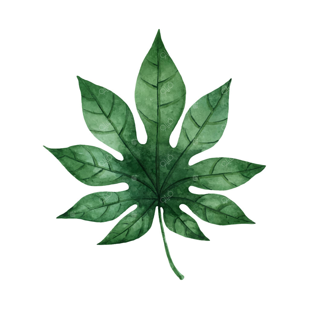 رنگ‌های اصلی RGB