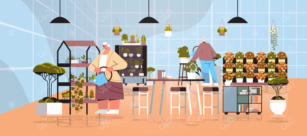 زوج باغبان سالمند در حال مراقبت از گیاهان گلدانی و گل‌ها در گلخانه داخلی خانه - تصویر افقی کامل