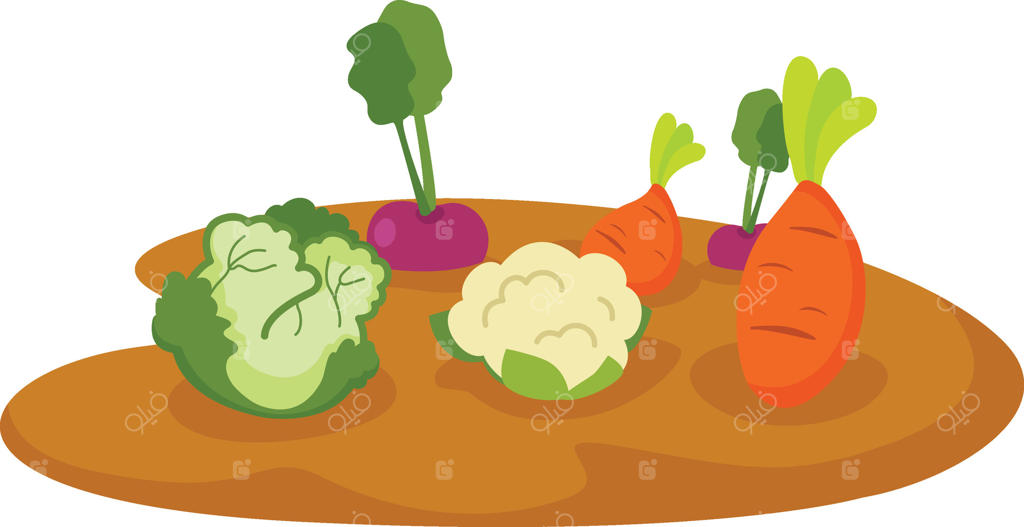 سبزیجات در باغچه با پس‌زمینه سفید