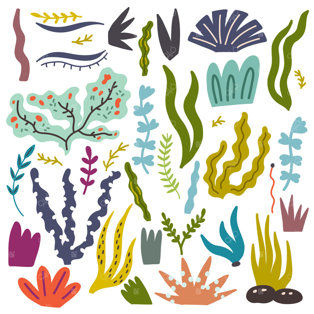 مجموعه تصویرسازی جلبک‌های دریایی و گیاهان زیر آب با طرح دستی و سبک دودل، مناسب برای اتاق کودک و نوزاد با تم اسکاندیناوی