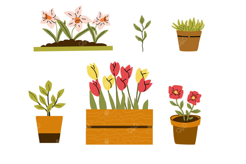 مجموعه ابزار باغبانی و گیاهان با طراحی‌های گلدار رنگارنگ برای عاشقان باغبانی