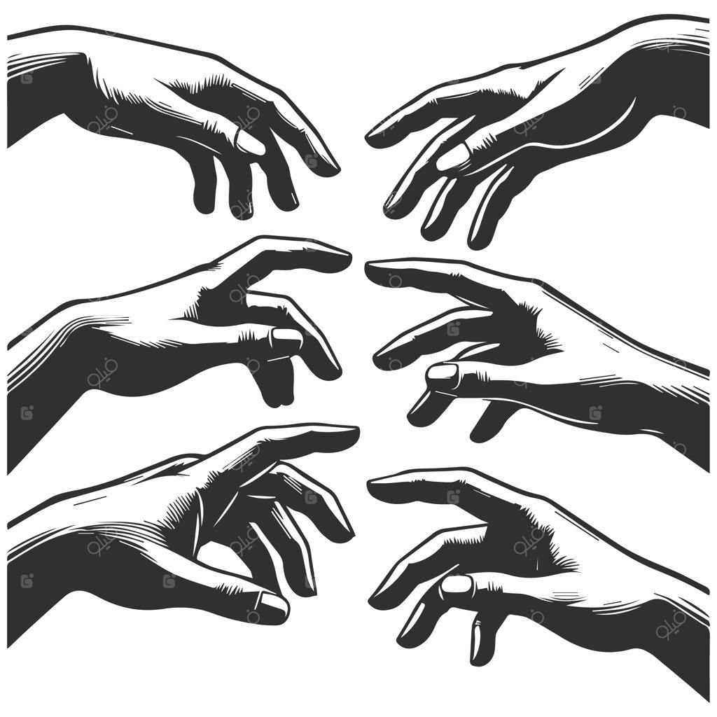 مجموعه دست‌ها در ژست‌های مختلف با سبک واقع‌گرایانه