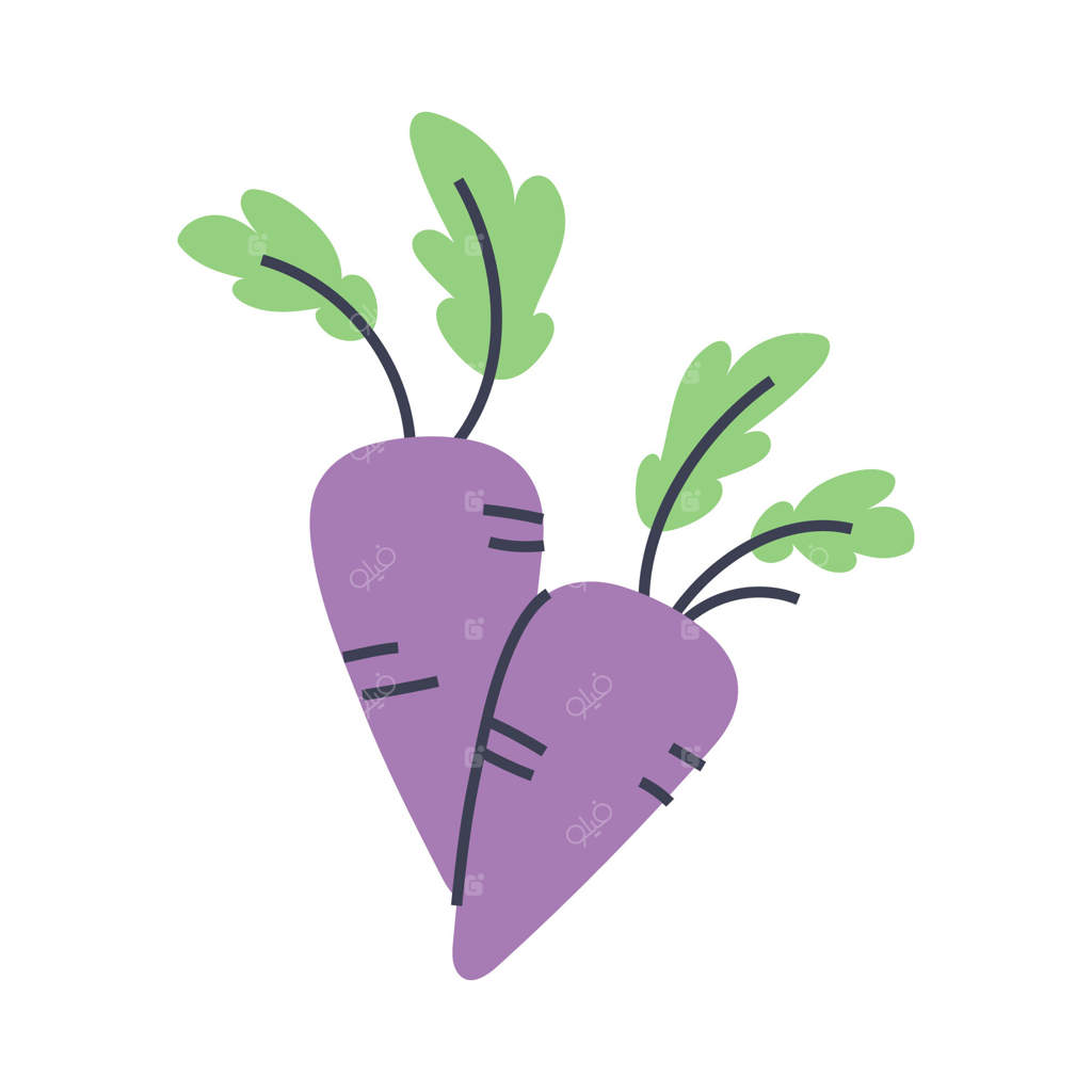 چغندر تازه با برگ‌های سبز. گیاه باغی. عنصر گرافیکی برای طراحی‌های بهار و تابستان.