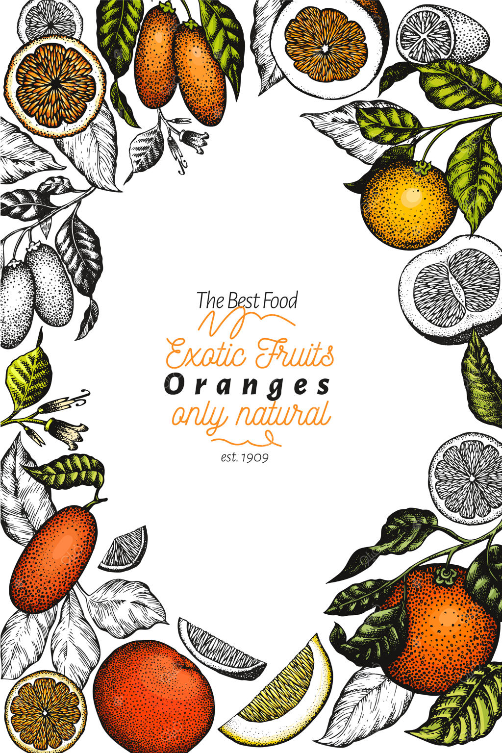 پترن میوه‌های مرکبات. تصویرسازی رنگی دست‌ساز میوه. قاب حکاکی‌شده. مرکبات کلاسیک.