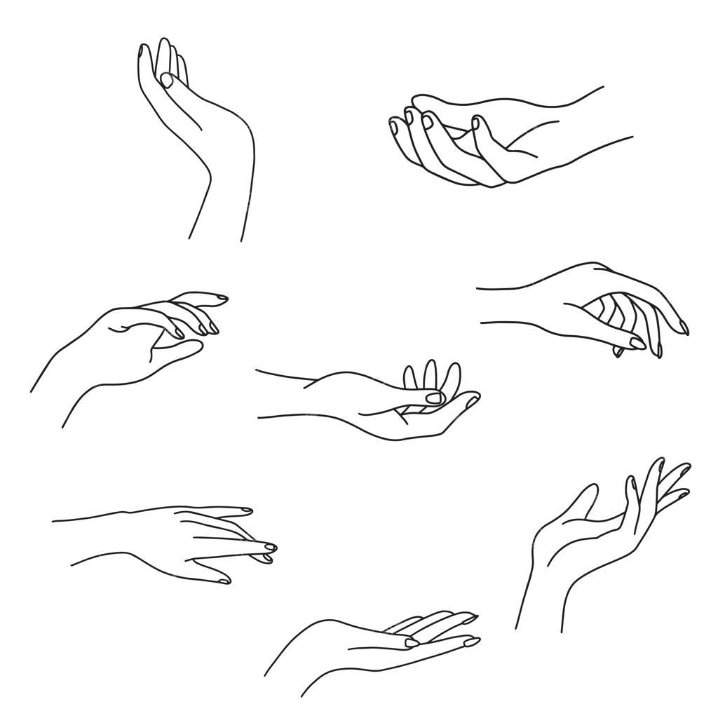 مجموعه وکتور تصویرسازی خطی دست‌های زنانه با ژست‌های متنوع به سبک مینیمال و ترندی؛ مناسب برای طراحی لوگو، کرم دست، سالن ناخن، پوستر و کارت