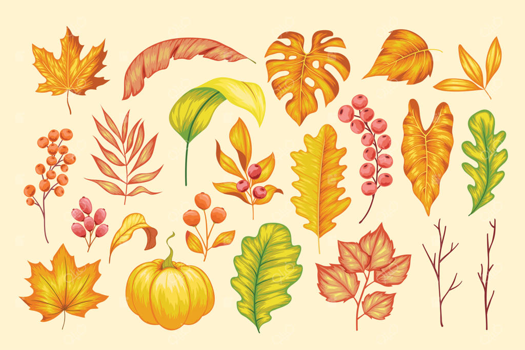 مجموعه زیبای گل‌های دست‌کشیده وینتیج