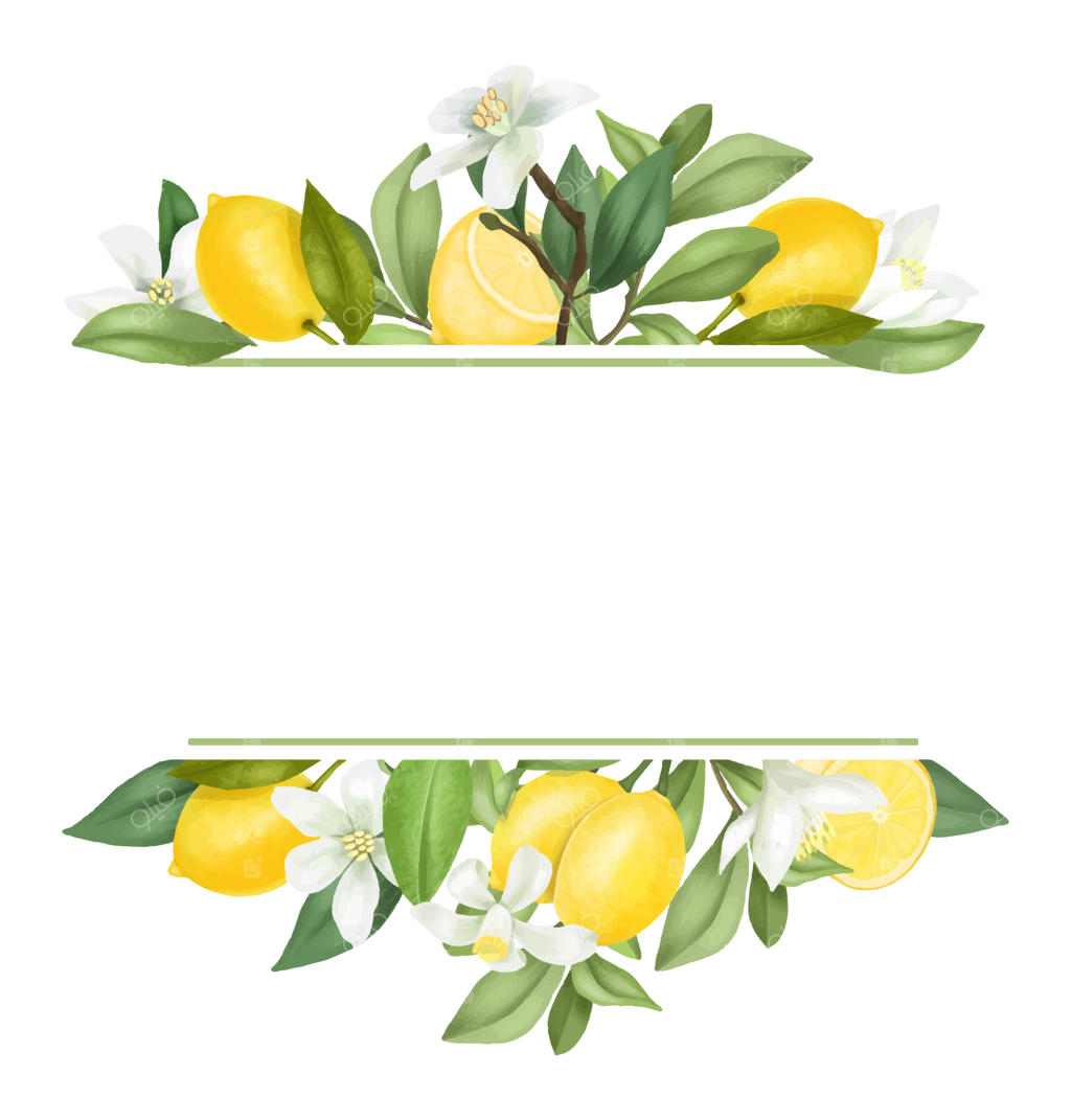 شاخه‌های لیمو درخت کشیده شده با دست، گل‌ها و لیموها.