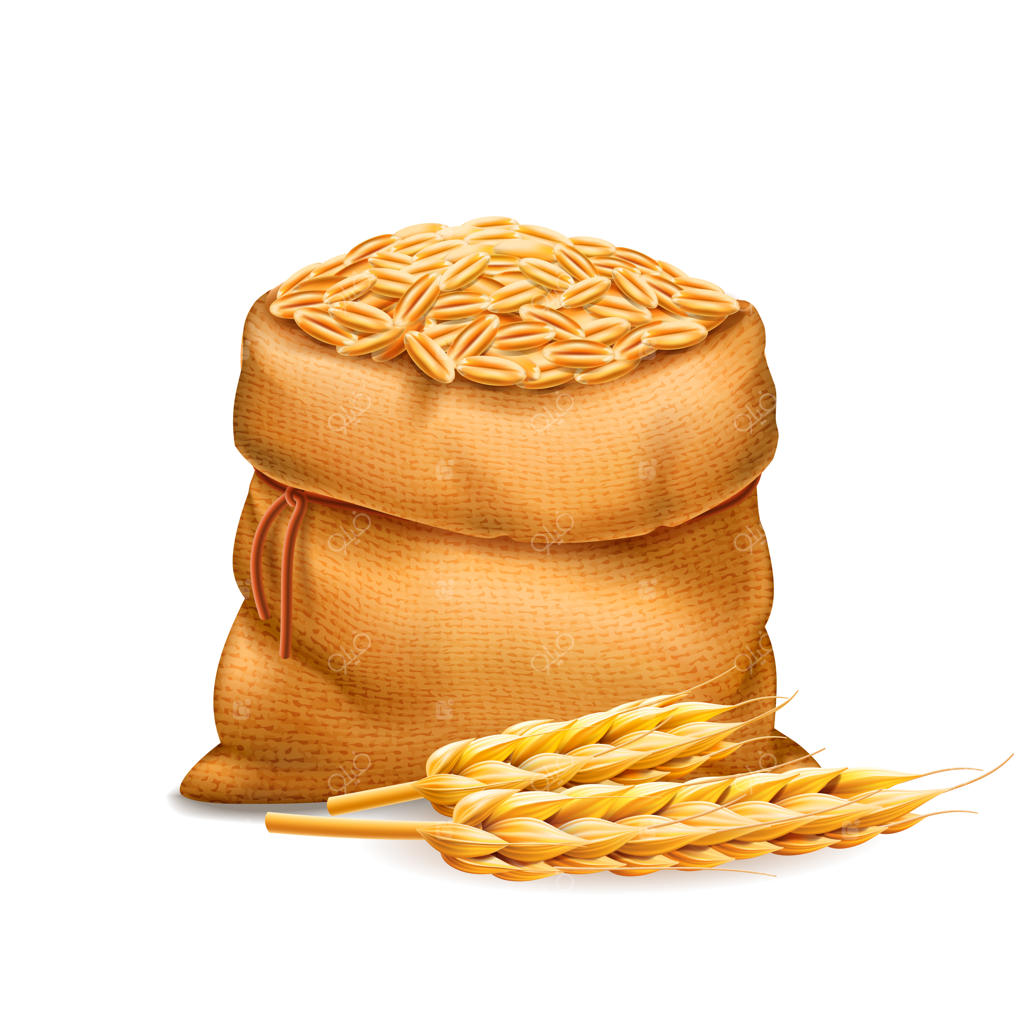 کیسه واقع‌گرایانه با دانه‌های گندم تصفیه‌شده و جو همراه با خوشه‌های گندم. موضوع نان و برداشت محصول