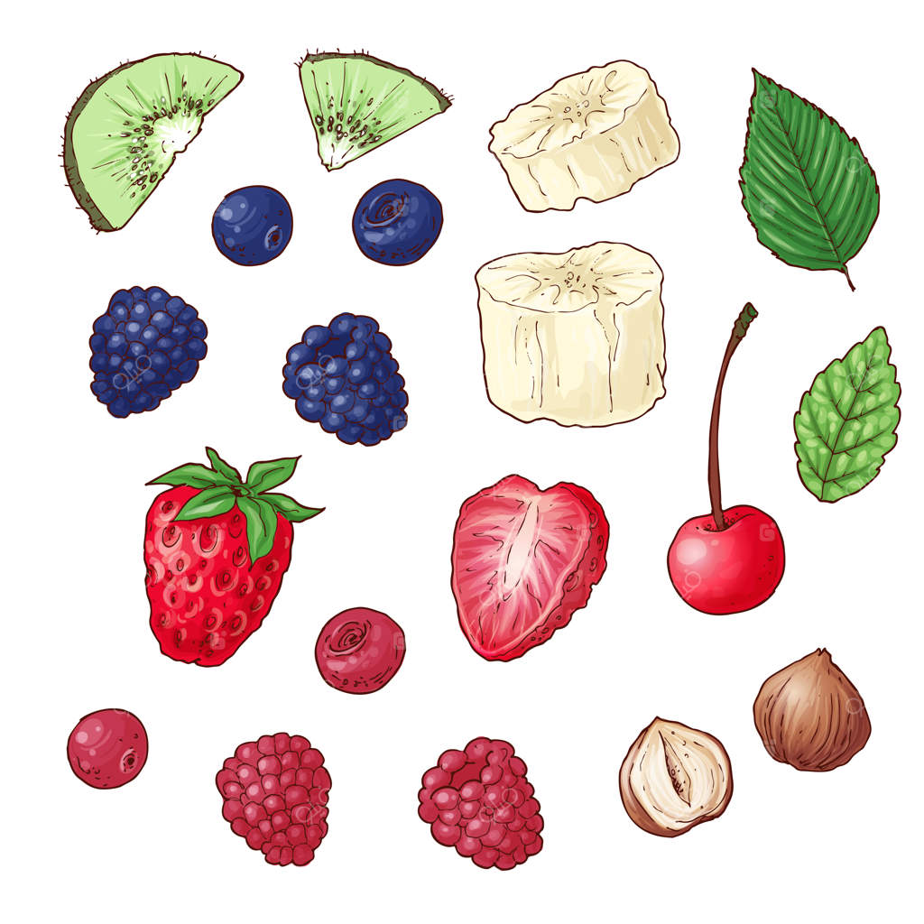 مجموعه‌ای از توت‌های وحشی، کیوی، موز و آجیل‌ها