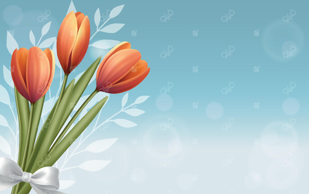 پس‌زمینه گلدار با دسته گل لاله‌های نارنجی بهاری. افکت بوکه. پاپیون سفید. کارت تبریک. تم گیاه‌شناسی.